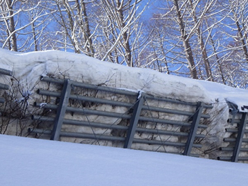 雪庇予防材